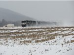 A fresh coating of snow